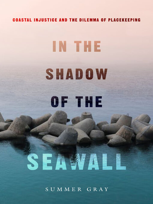 Title details for In the Shadow of the Seawall by Summer Gray - Available